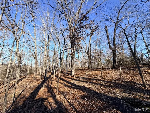 $20,000 | 0 Holly Drive, St. Robert, MO 65584