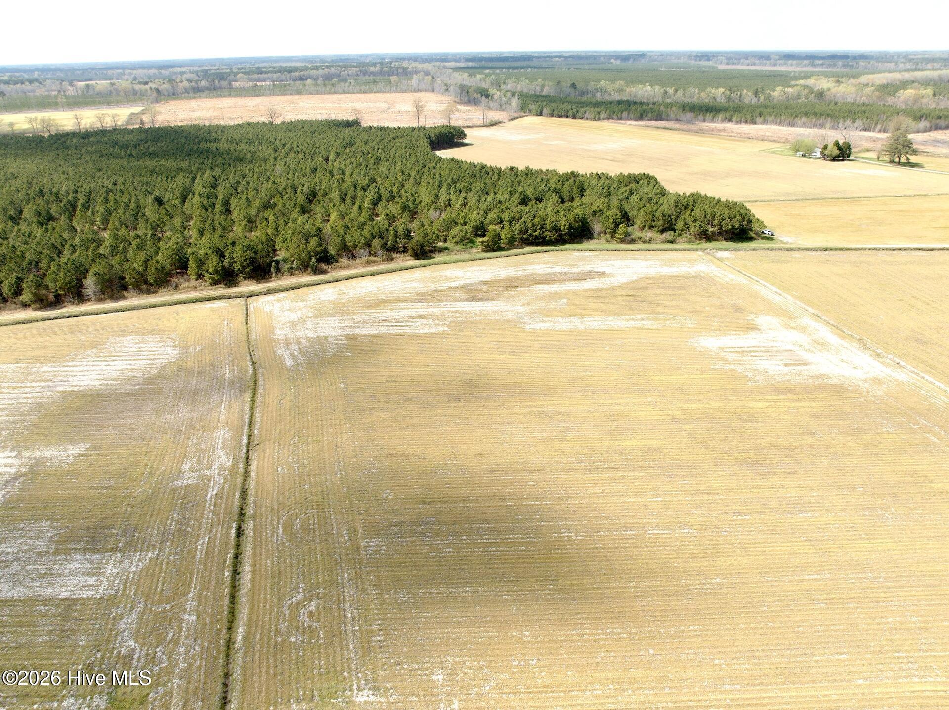 188 Black Mingle Road Gates, NC 27937 - Photo 1 of 20 1