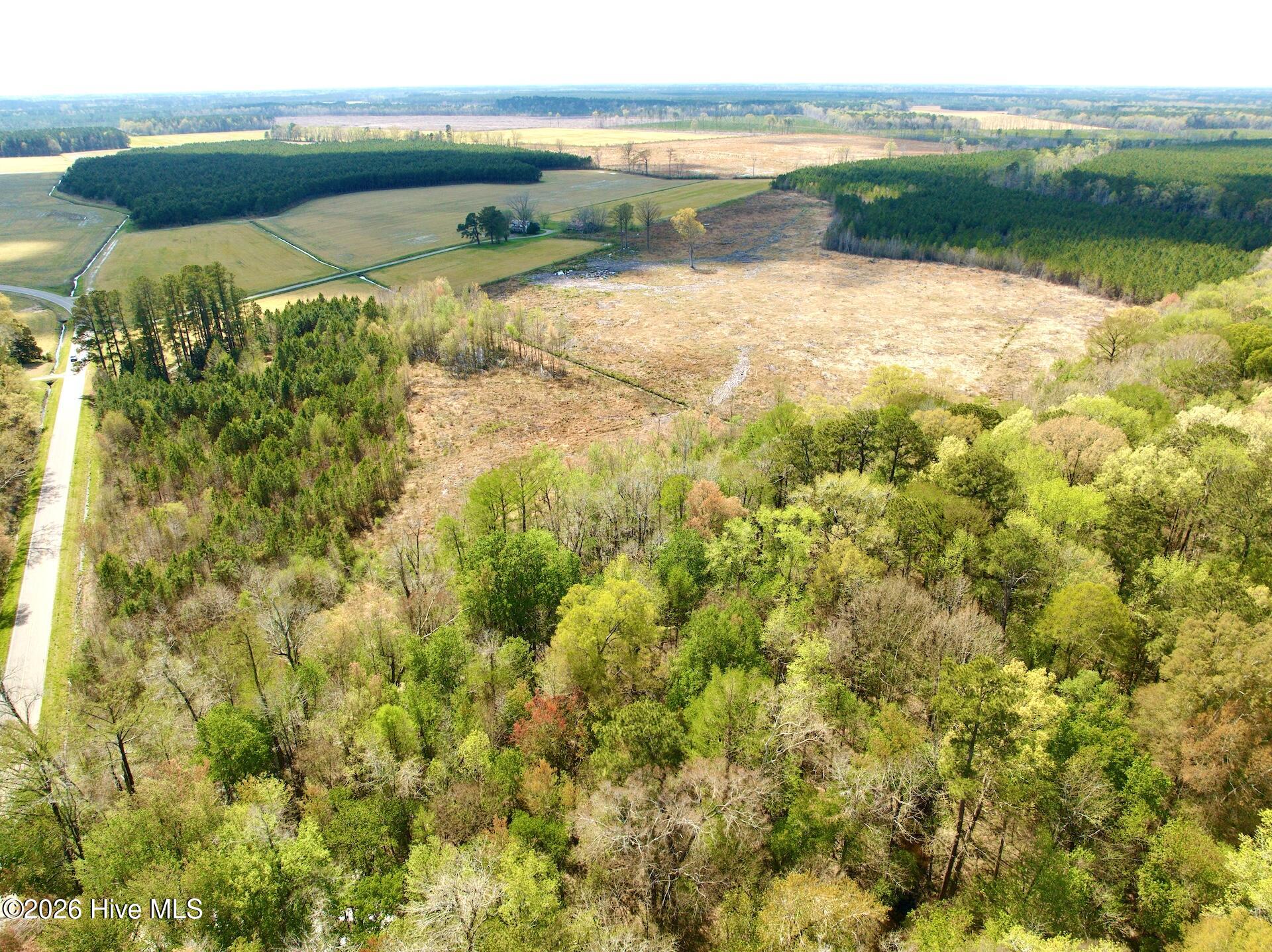 188 Black Mingle Road Gates, NC 27937 - Photo 12 of 20 12