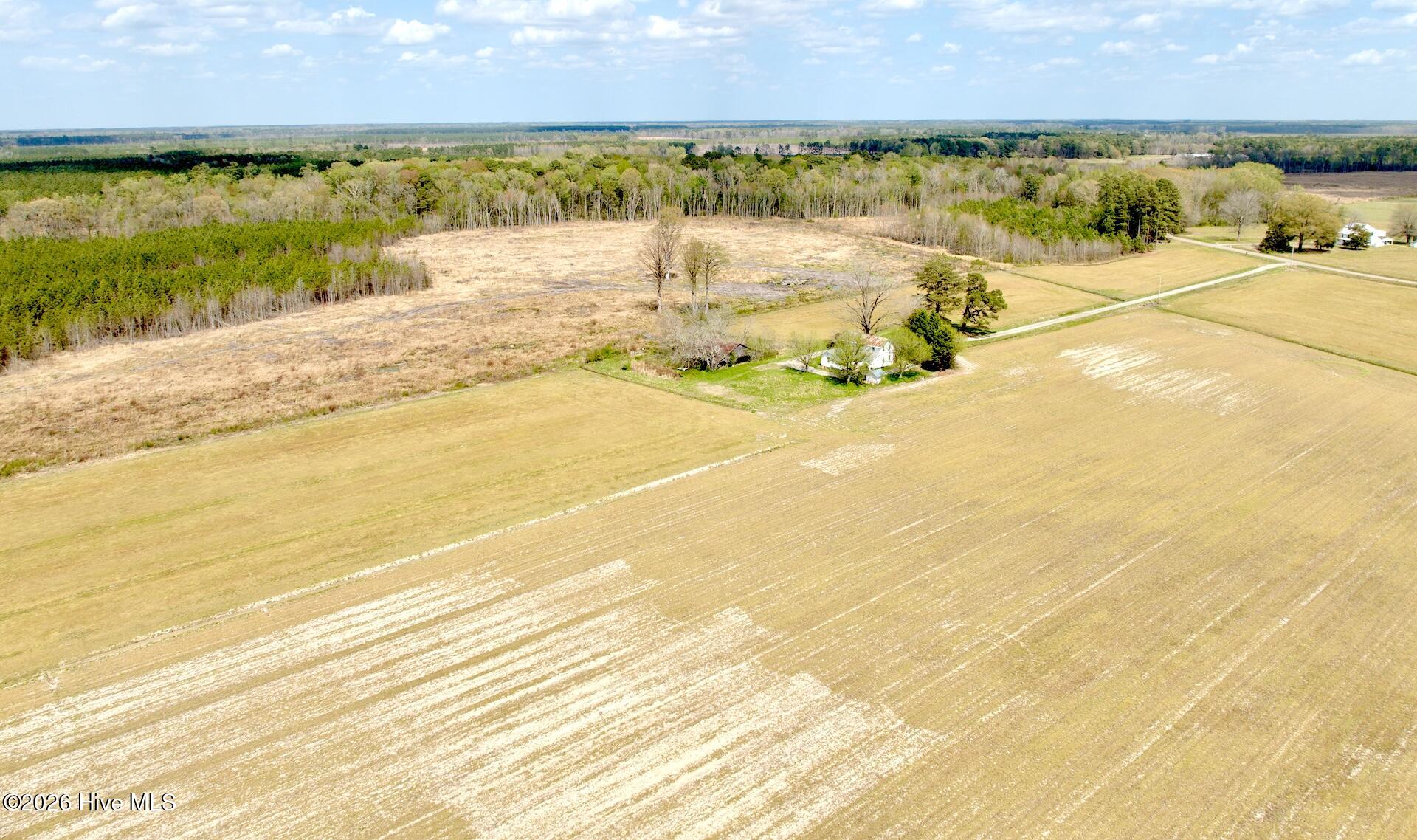 188 Black Mingle Road Gates, NC 27937 - Photo 13 of 20 13