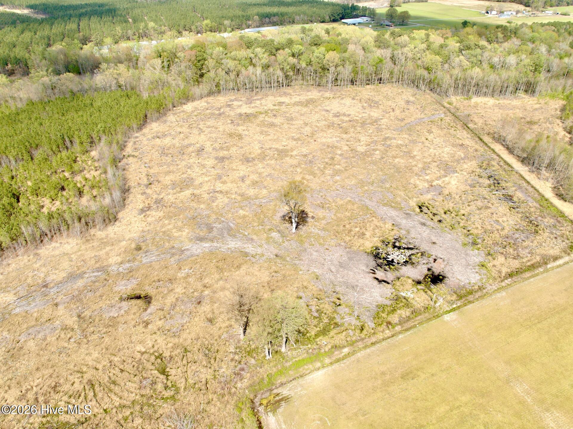 188 Black Mingle Road Gates, NC 27937 - Photo 15 of 20 15