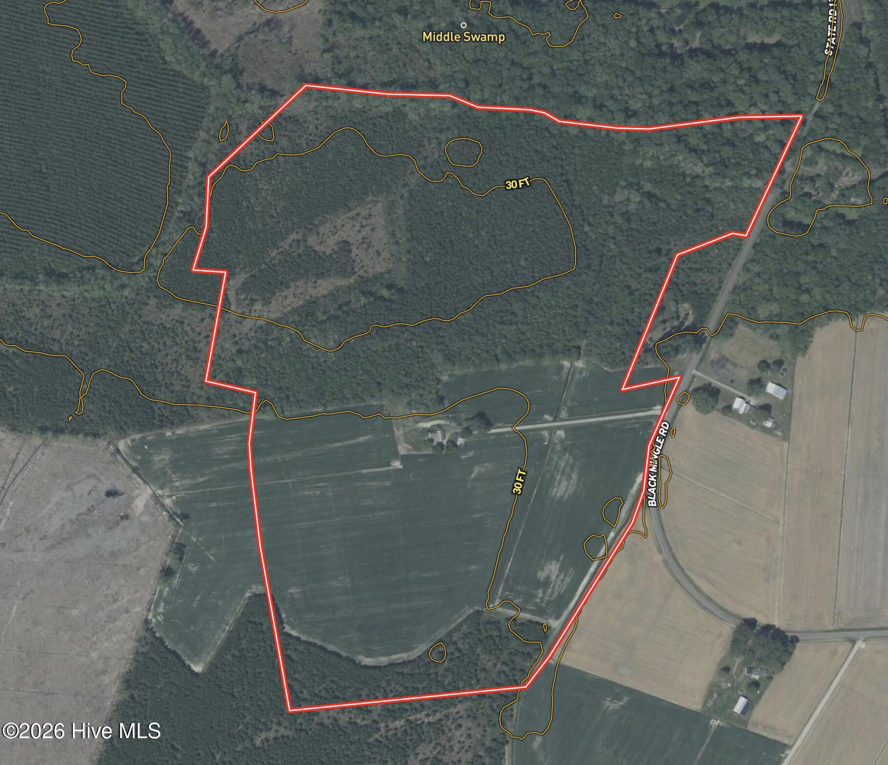 188 Black Mingle Road Gates, NC 27937 - Photo 19 of 20 Aerial Contour