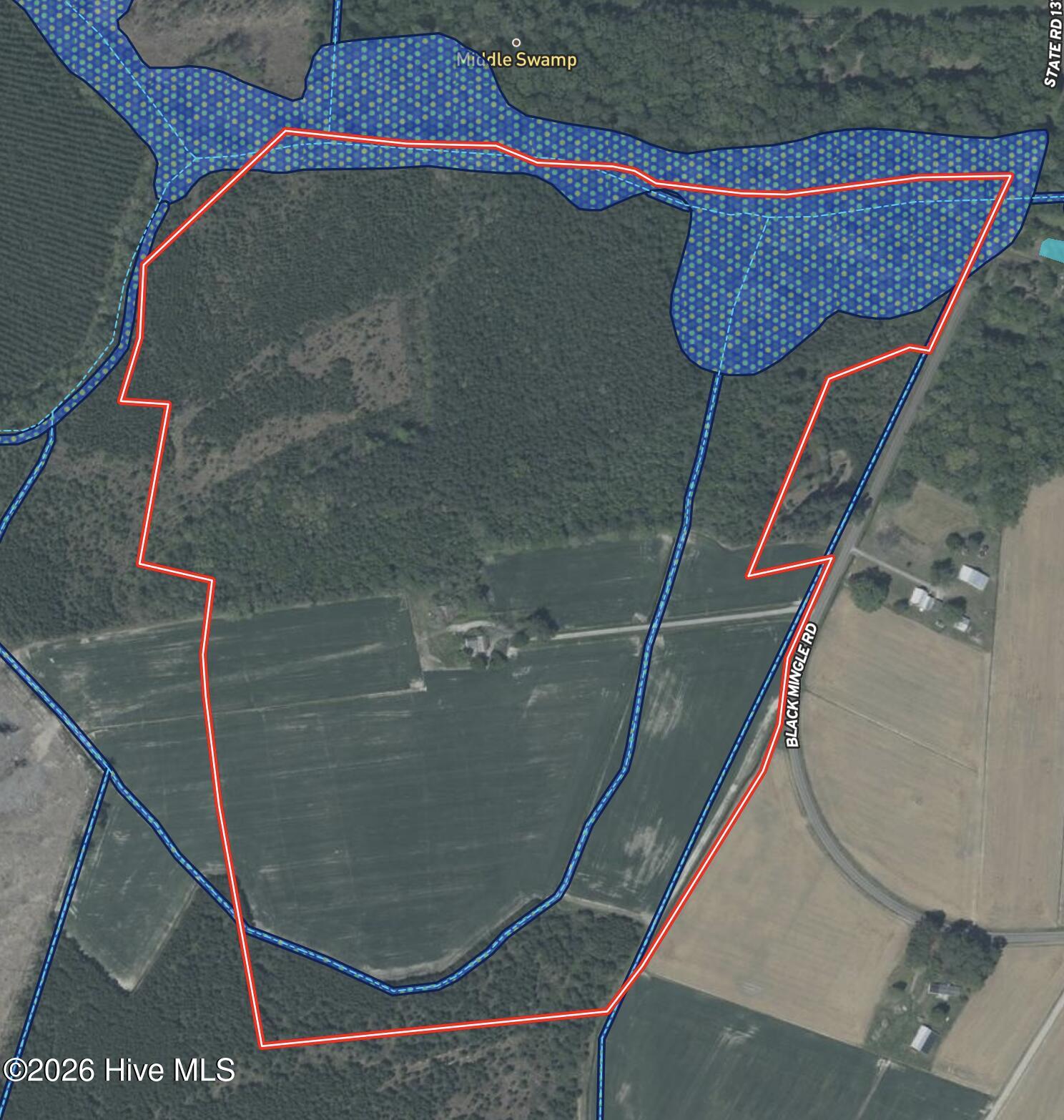 188 Black Mingle Road Gates, NC 27937 - Photo 20 of 20 Aerial Wetlands