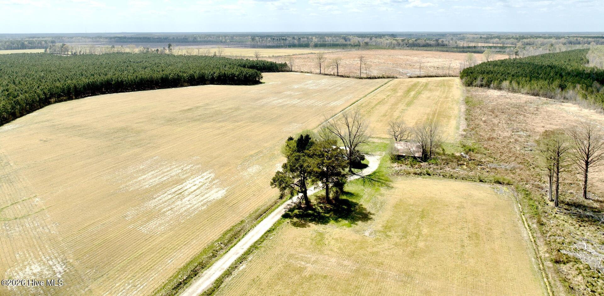 188 Black Mingle Road Gates, NC 27937 - Photo 2 of 20 2