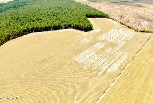 $419,900 | 188 Black Mingle Road, Gates, NC 27937