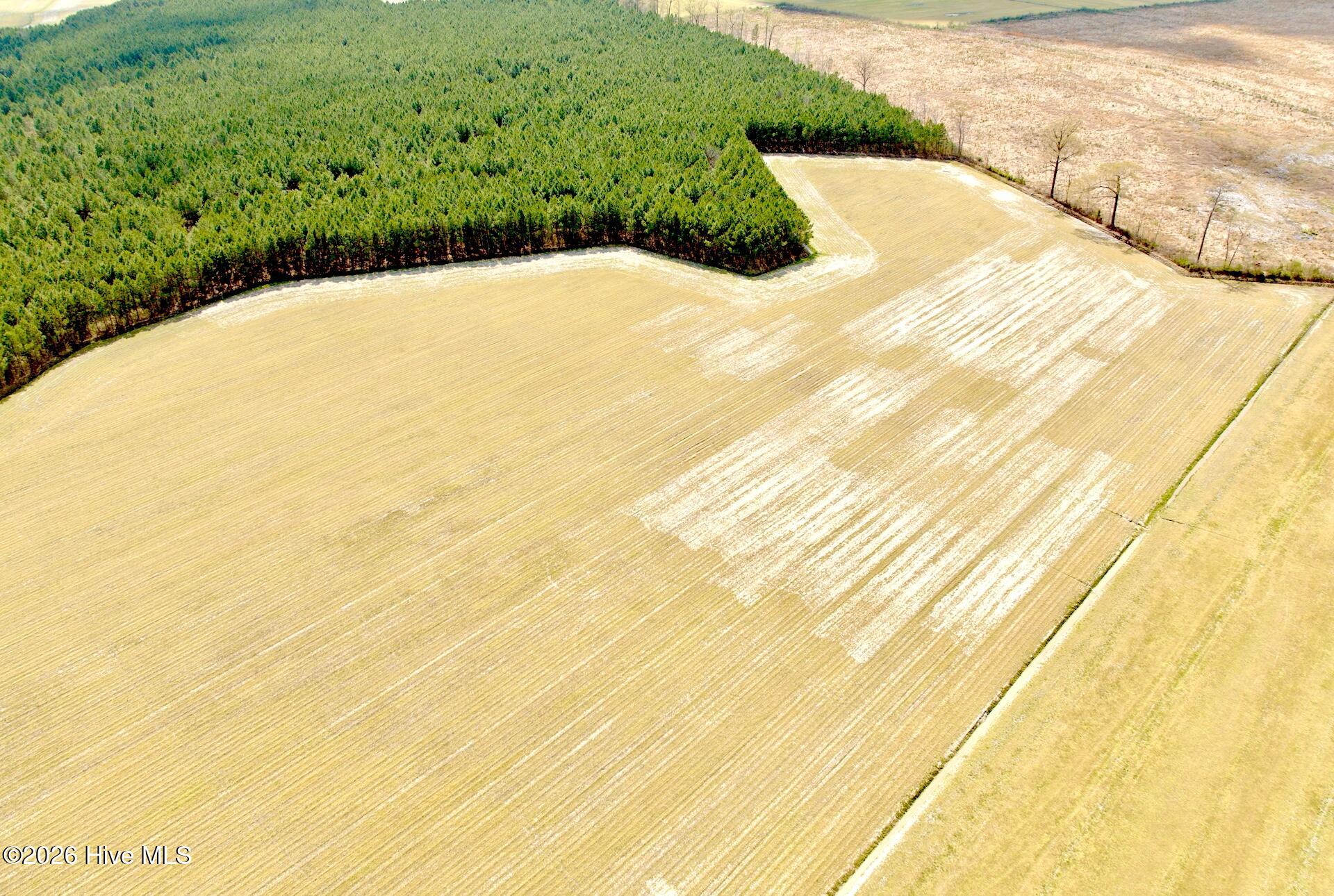 188 Black Mingle Road Gates, NC 27937 - Photo 3 of 20 3