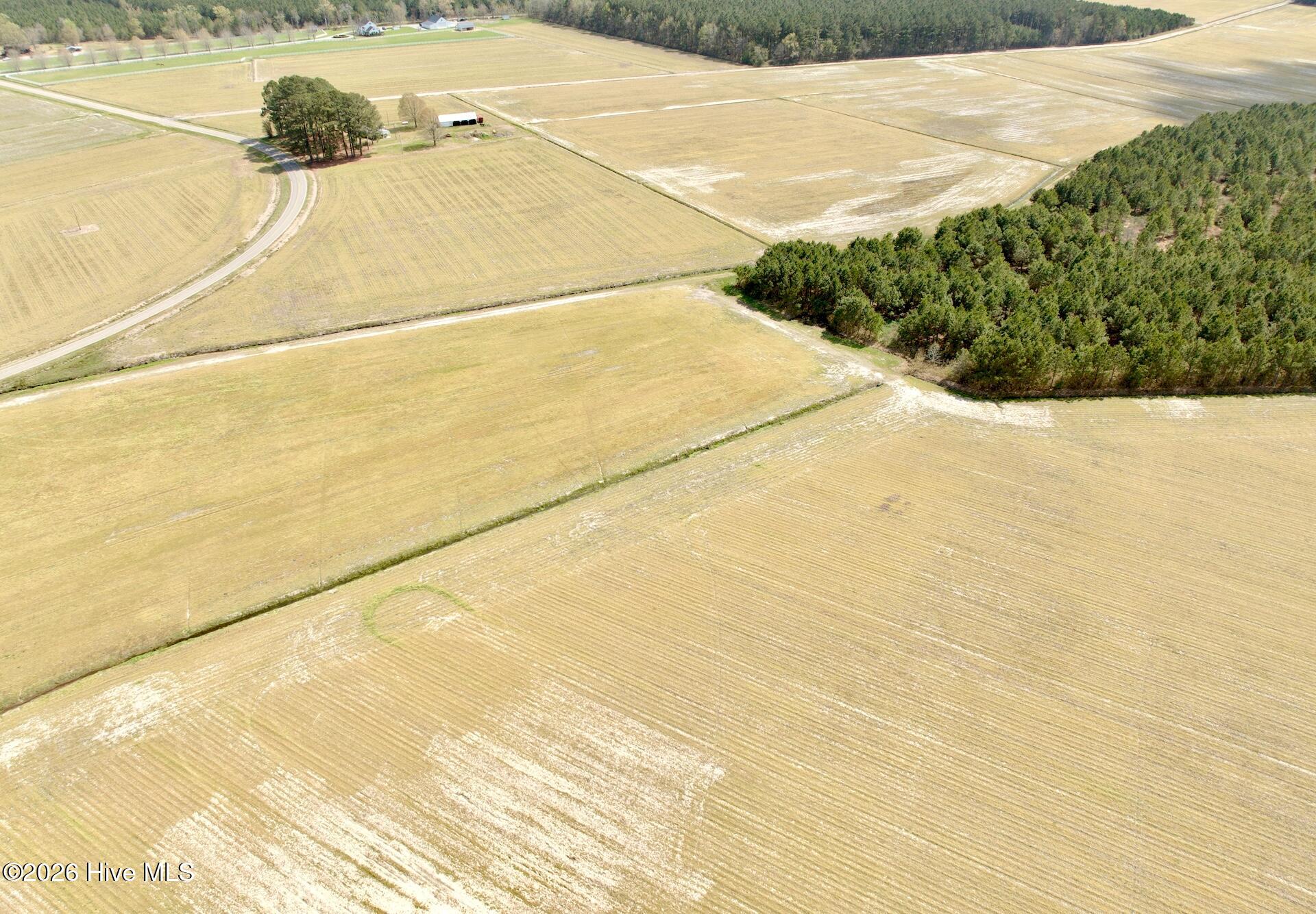 188 Black Mingle Road Gates, NC 27937 - Photo 4 of 20 4