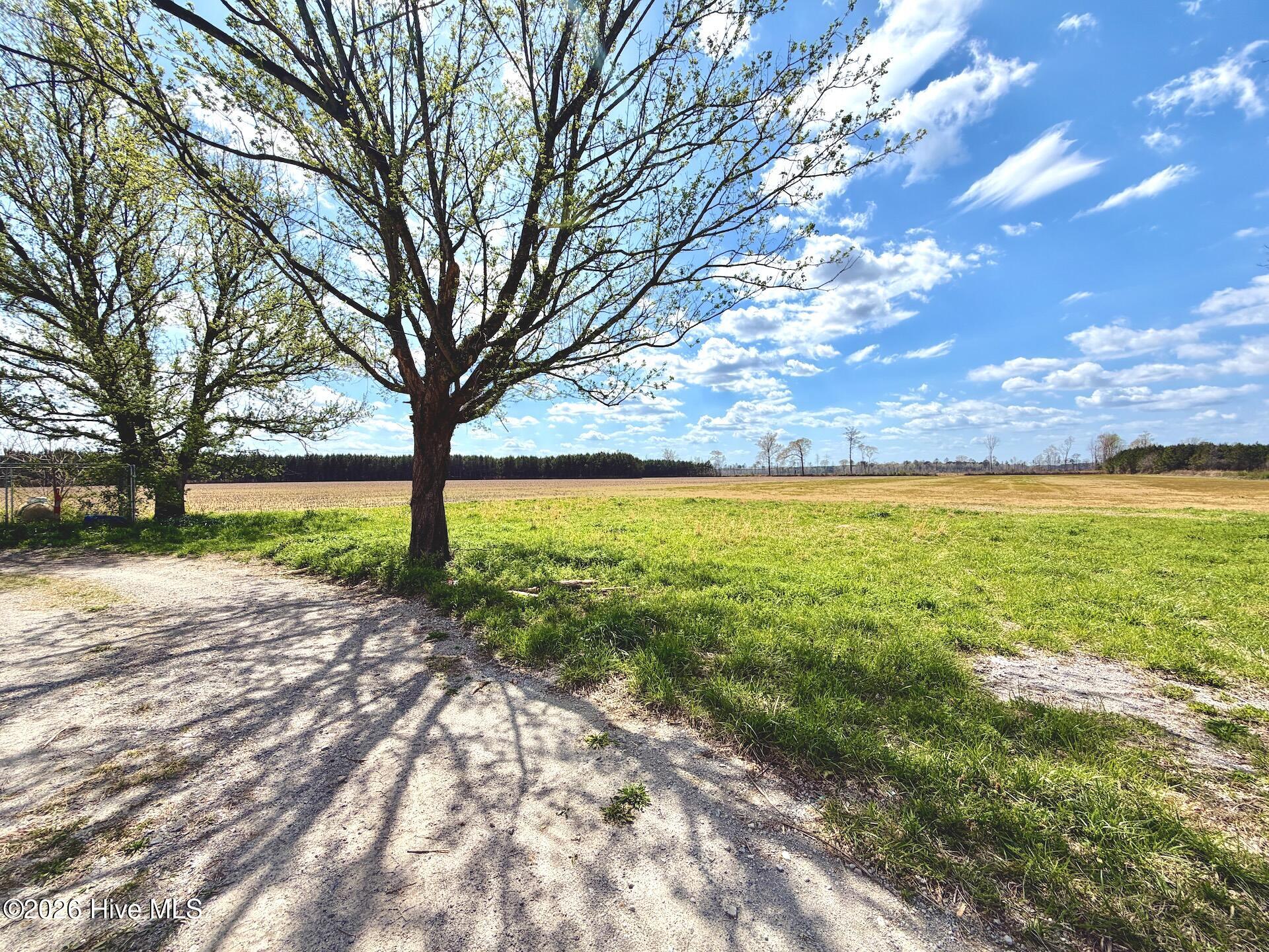 188 Black Mingle Road Gates, NC 27937 - Photo 7 of 20 7