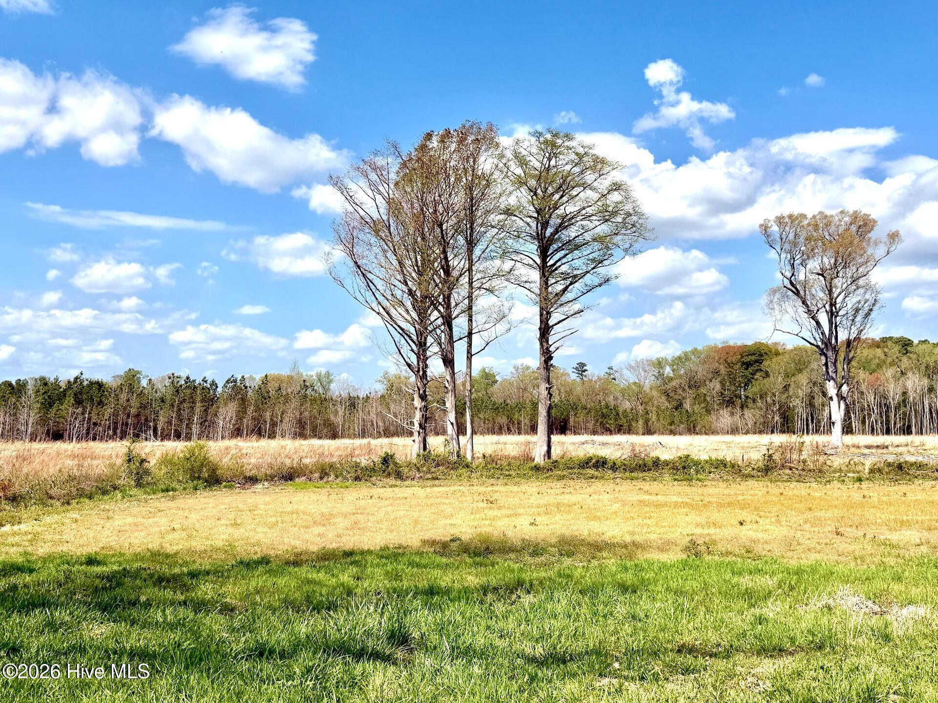 188 Black Mingle Road Gates, NC 27937 - Photo 8 of 20 8