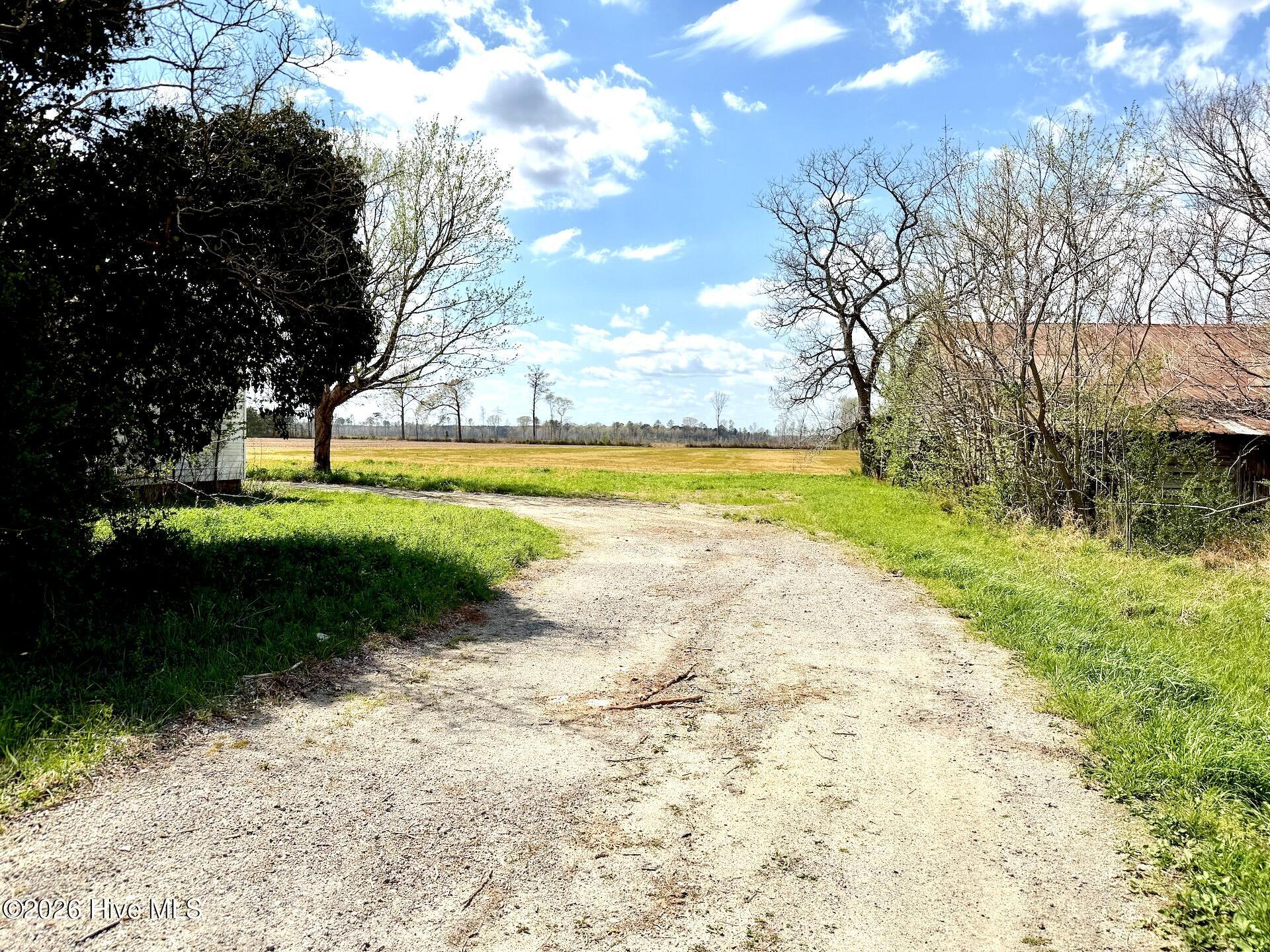 188 Black Mingle Road Gates, NC 27937 - Photo 9 of 20 9