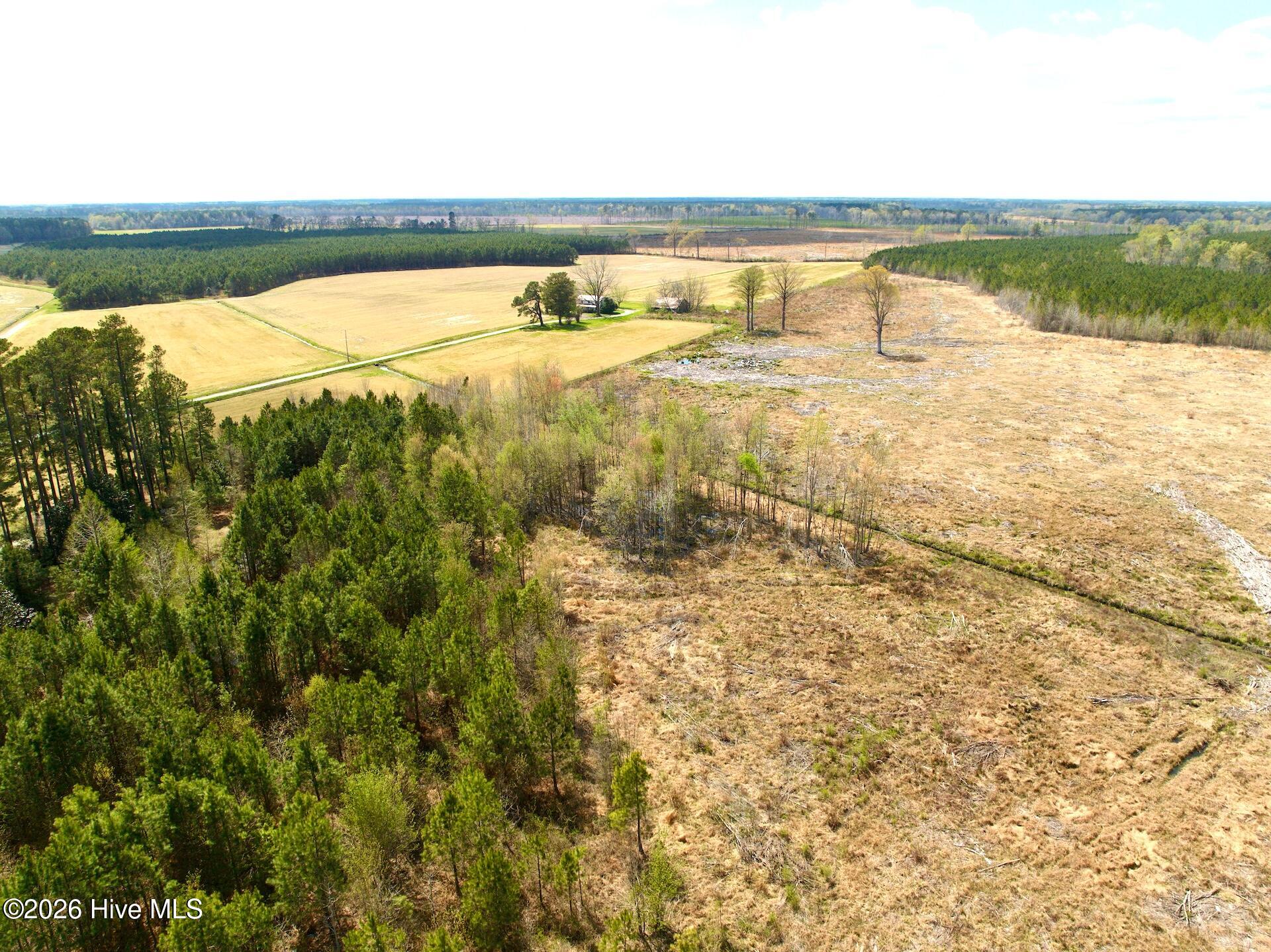 188 Black Mingle Road Gates, NC 27937 - Photo 10 of 20 10
