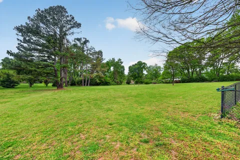 a view of a field of grass and trees