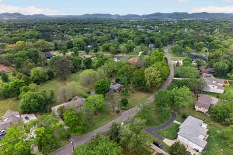 an aerial view of green landscape with trees houses and mountain view
