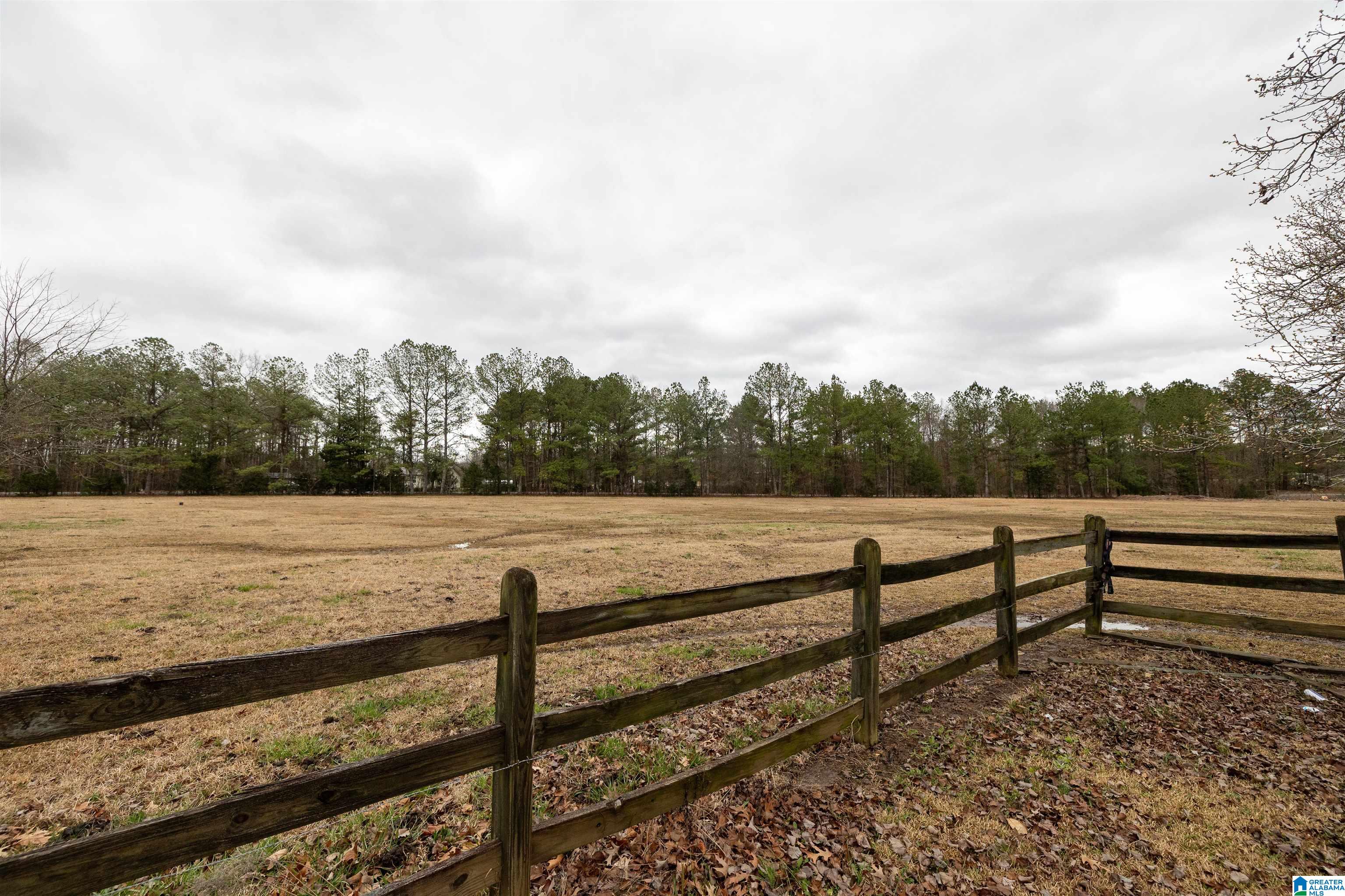 1016 Wesson Lake Road Attalla, AL 35954 - Photo 33 of 38 Gallery Image 33