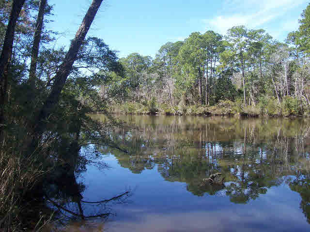 9511 Redfish Drive Elberta, AL 36530 - Photo 8 of 8