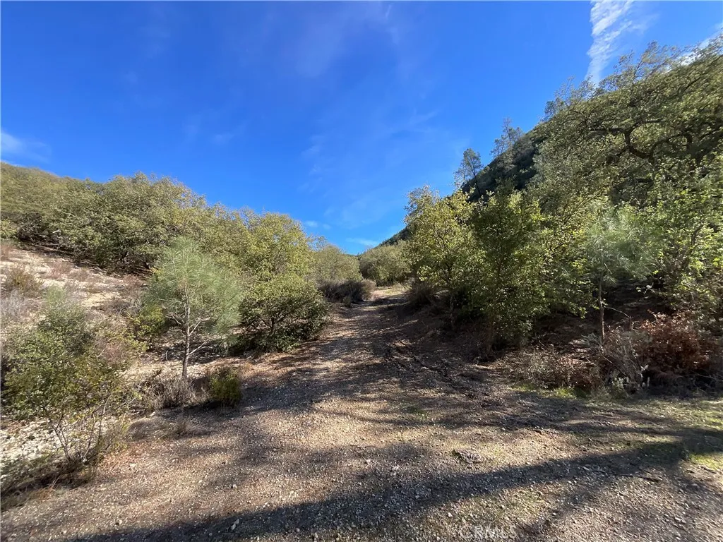 0 Argyle Road King City, CA 93930 - Photo 17 of 29