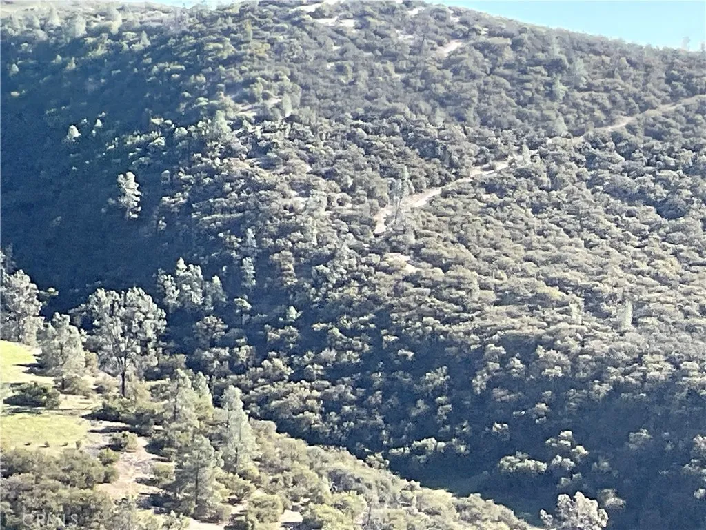 0 Argyle Road King City, CA 93930 - Photo 29 of 29