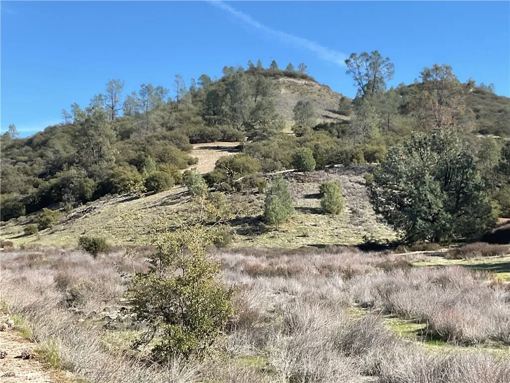 0 Argyle Road King City, CA 93930 - Photo 10 of 29