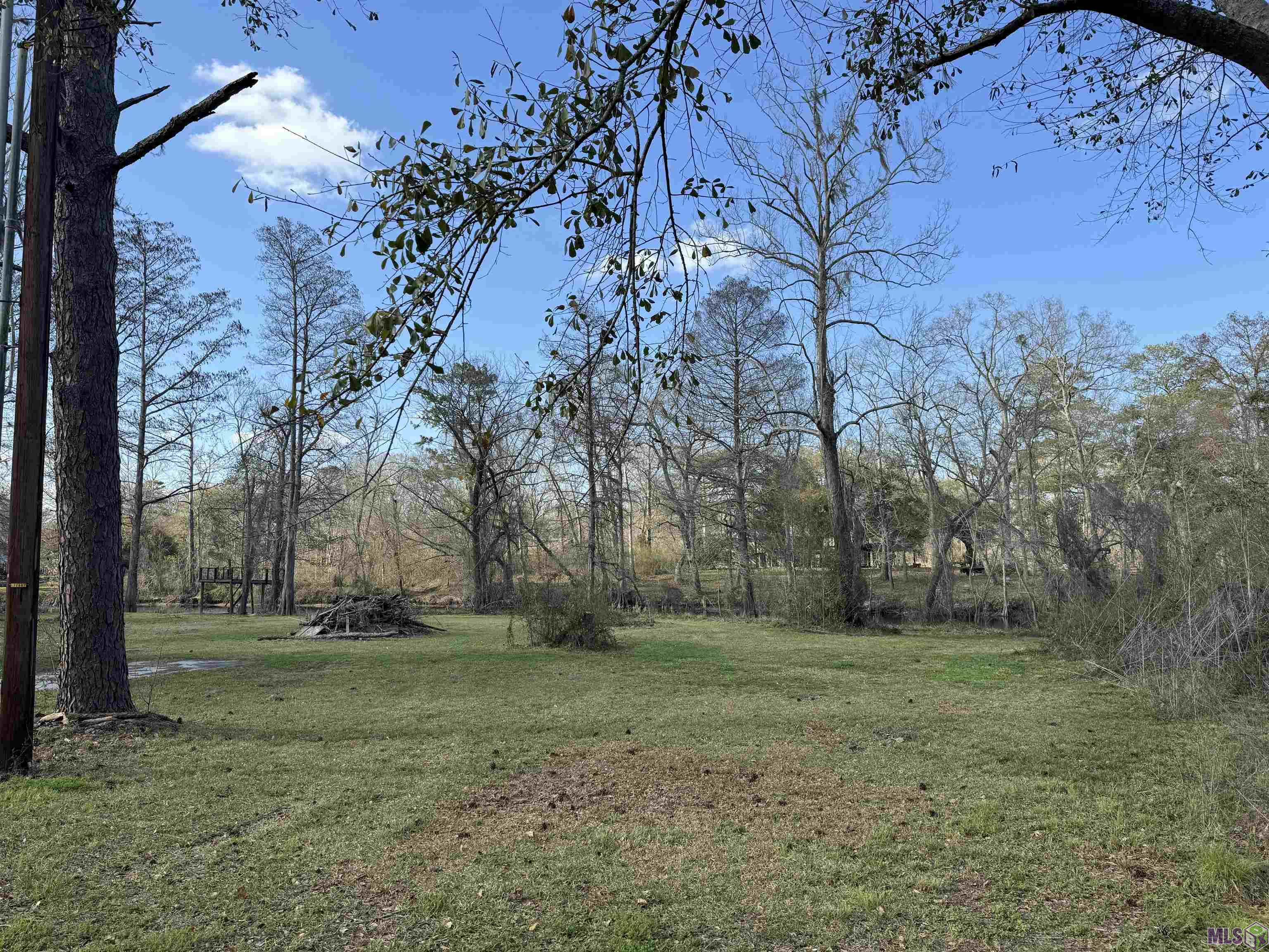Tbd Manchac Point Road Prairieville, LA 70769 - Photo 4 of 18