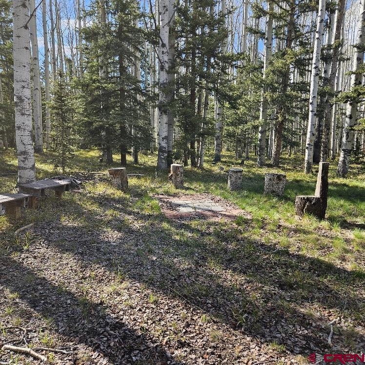 322 Spruce Road Cimarron, CO 81220 - Photo 12 of 23