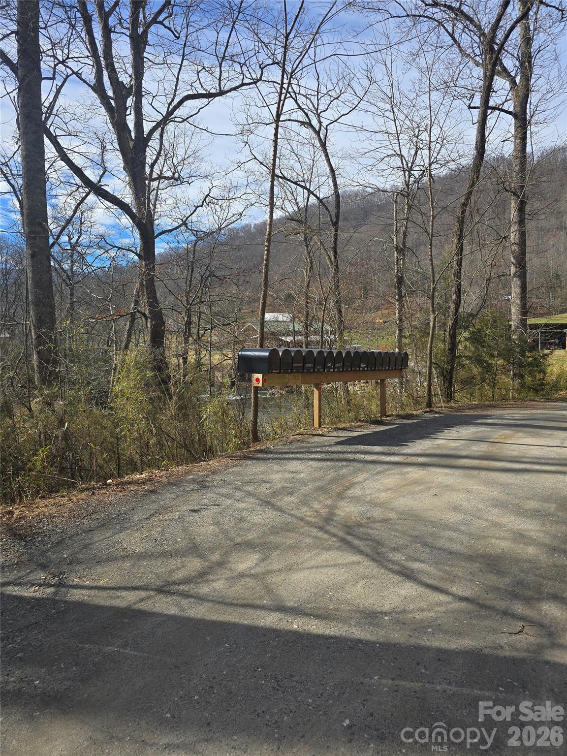 0 Black Mountain Road, Unit 52 Cullowhee, NC 28723 - Photo 13 of 14 a view of street along with trees