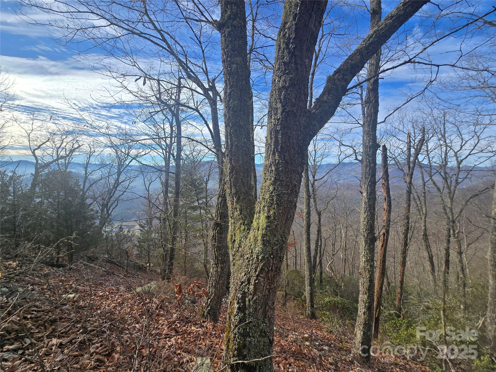 0 Black Mountain Road, Unit 52 Cullowhee, NC 28723 - Photo 2 of 9