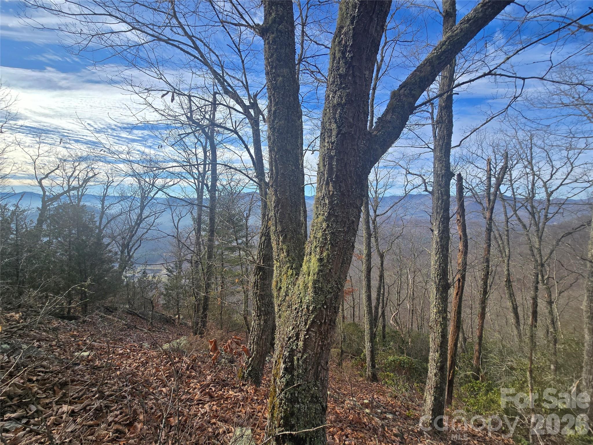 0 Black Mountain Road, Unit 52 Cullowhee, NC 28723 - Photo 2 of 14 a view of a forest