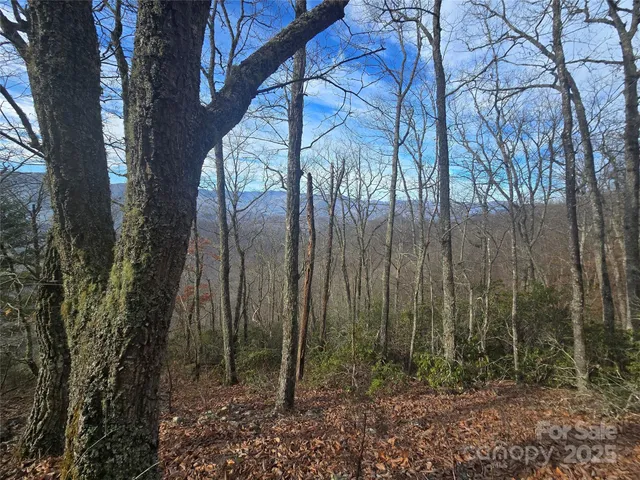 $37,000 | 0 Black Mountain Road, Unit 52, Cullowhee, NC 28723