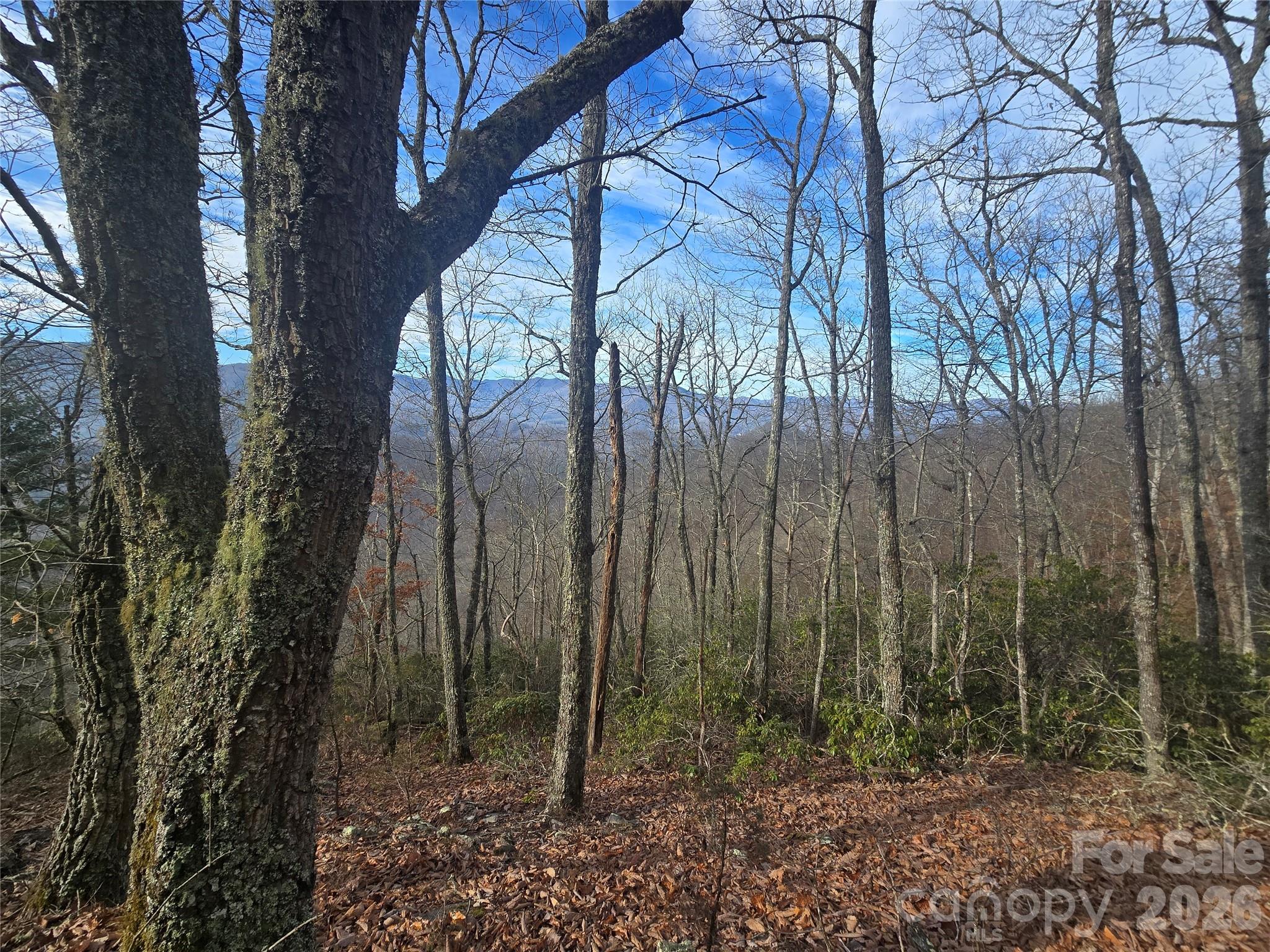 0 Black Mountain Road, Unit 52 Cullowhee, NC 28723 - Photo 3 of 14 a view of a backyard