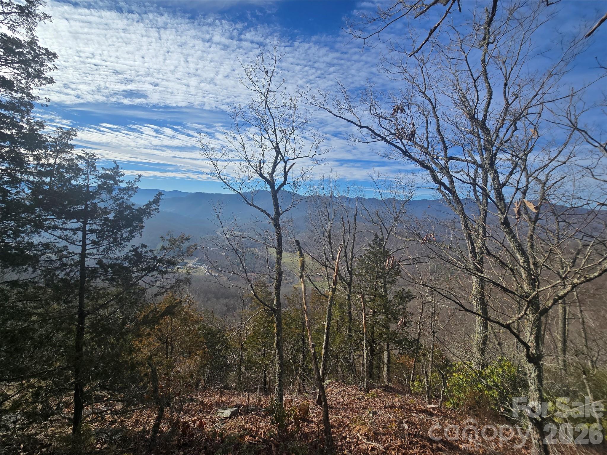 0 Black Mountain Road, Unit 52 Cullowhee, NC 28723 - Photo 4 of 14 a backyard of a house with lots of green space