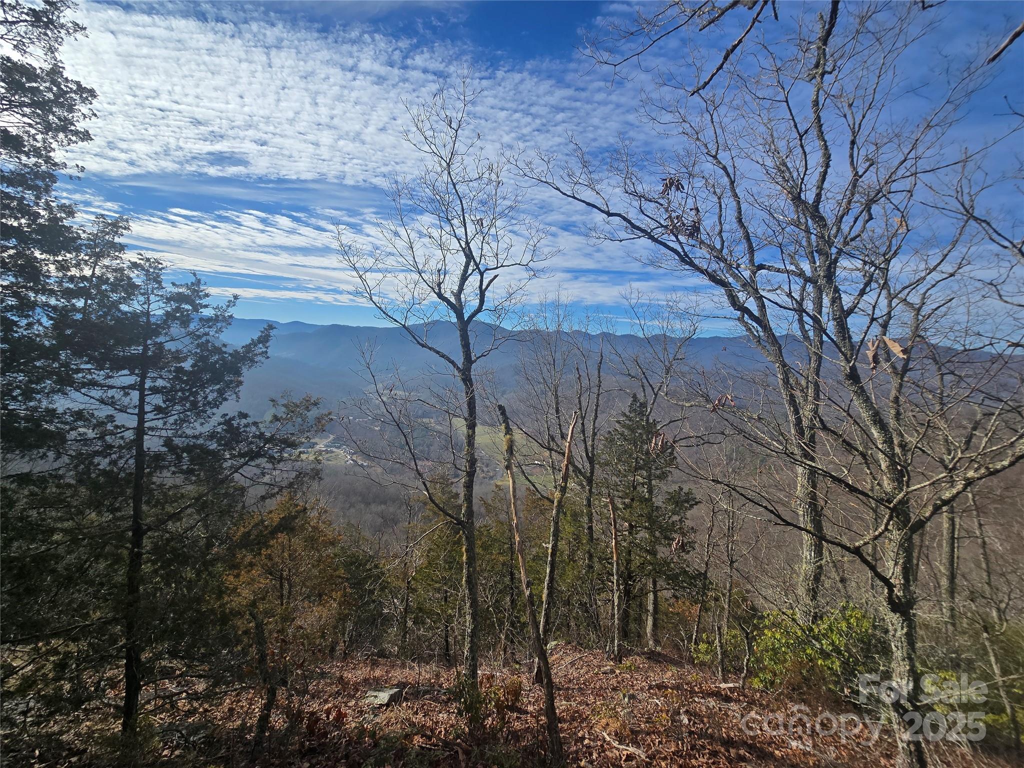 0 Black Mountain Road, Unit 52 Cullowhee, NC 28723 - Photo 4 of 9