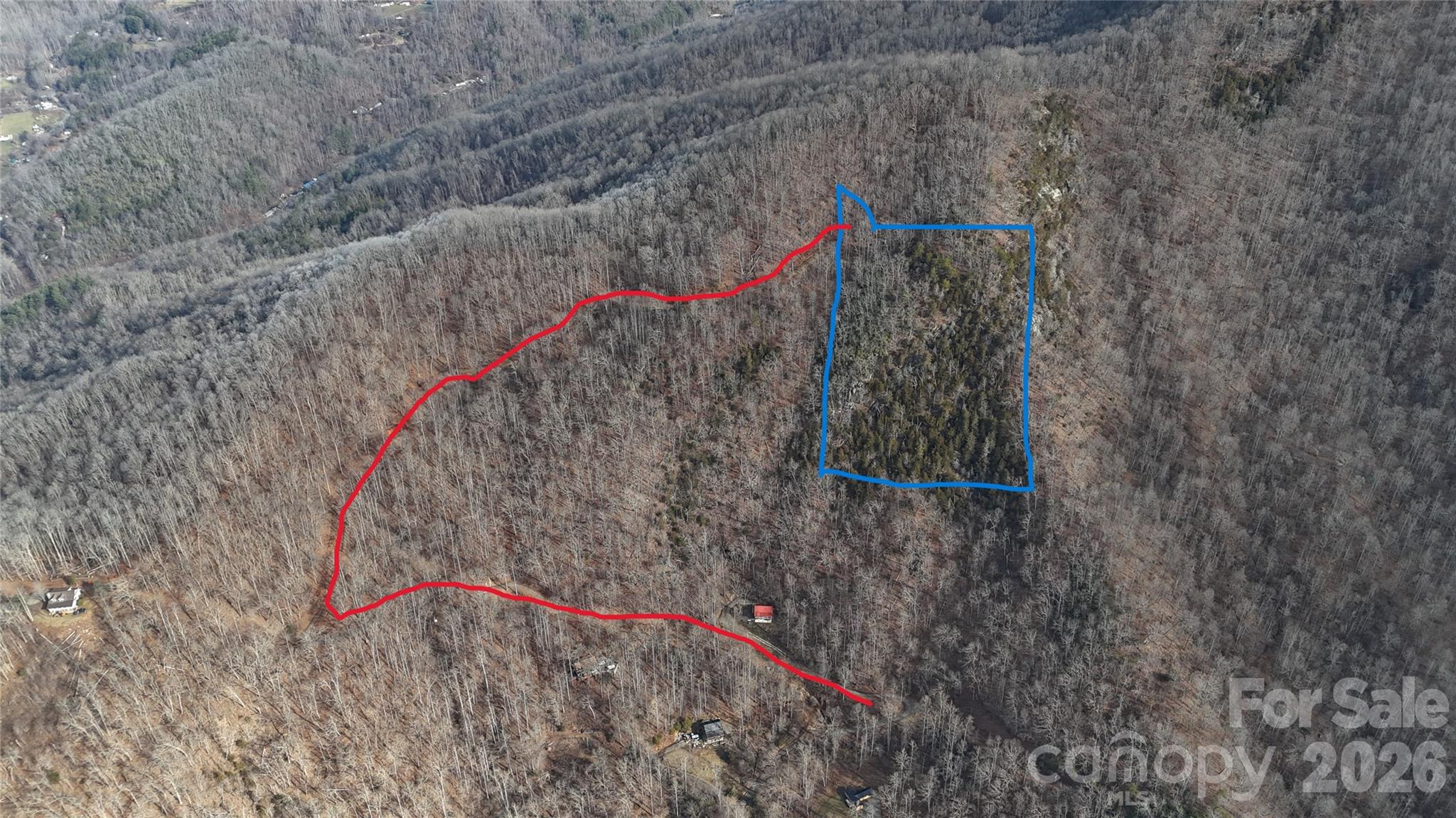 0 Black Mountain Road, Unit 52 Cullowhee, NC 28723 - Photo 6 of 14 a view of path along with trees
