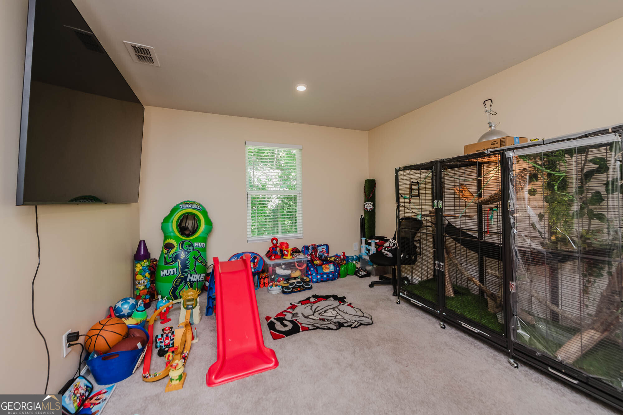 131 Catalpa Road Milner, GA 30257 - Photo 19 of 22