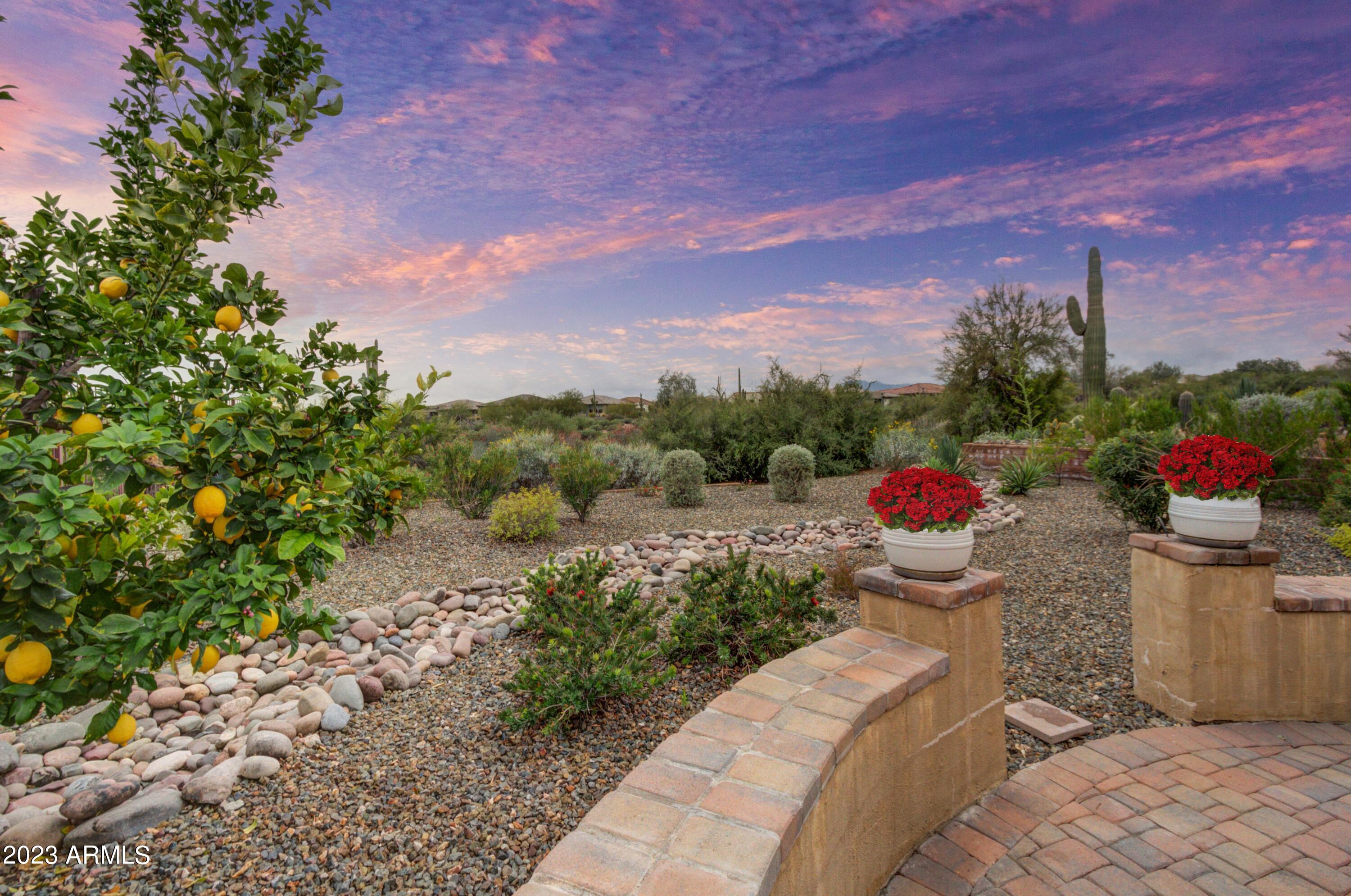 17841 East Woolsey Way Rio Verde, AZ 85263 - Photo 29 of 52 028_Mature Lemon Tree