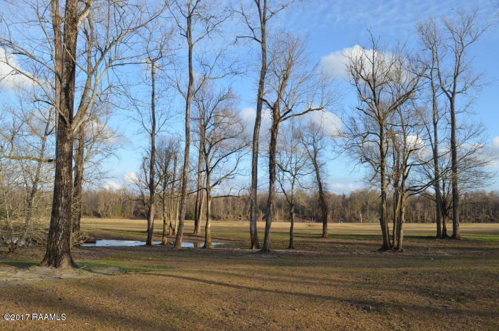10 Callie Drive Breaux Bridge, LA 70517 - Photo 2 of 6 1