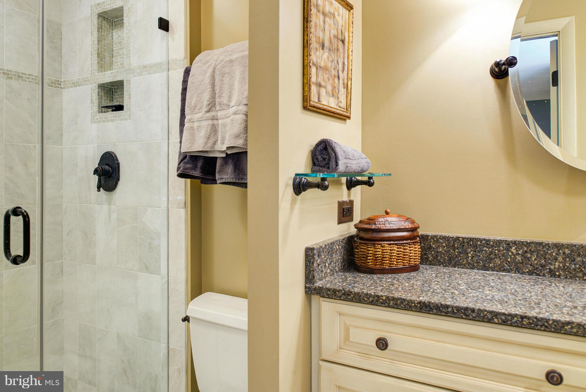 11817 Grey Birch Place Reston, VA 20191 - Photo 17 of 30 Bath (Master)