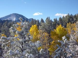 502 County Road La Veta, CO 81055 - Photo 34 of 34