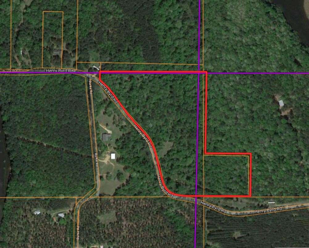 0 Henry Byrd Road Florence, MS 39073 - Photo 1 of 1 Photo 1