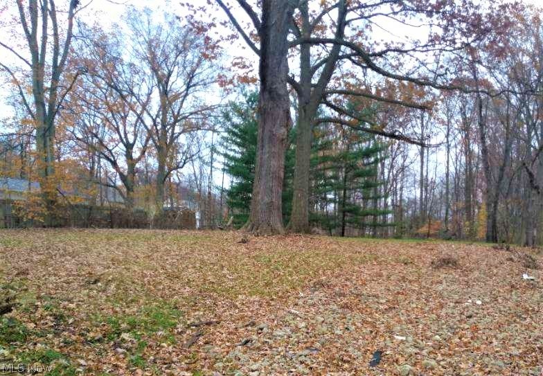 4061 Stow Road Stow, OH 44224 - Photo 5 of 6