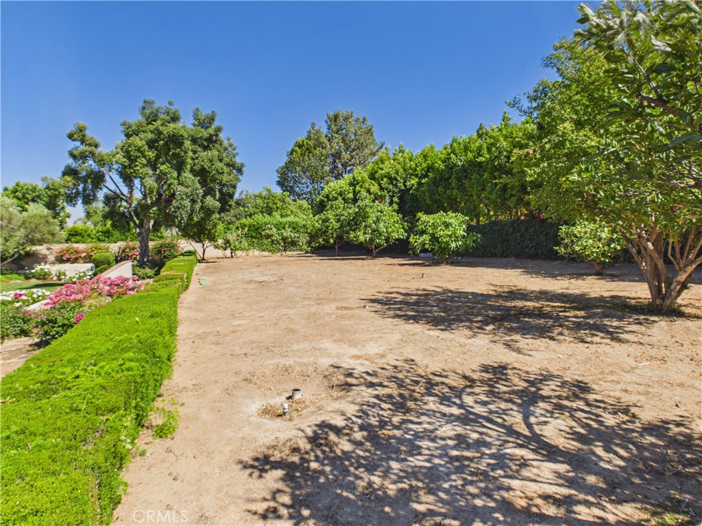 1662 Cherokee Road Corona, CA 92881 - Photo 50 of 60 a view of a street with a tree