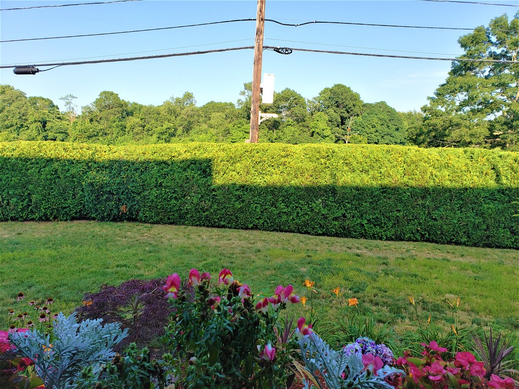 C3 Franklin Square, Unit 3 Randolph, MA 02368 - Photo 42 of 42