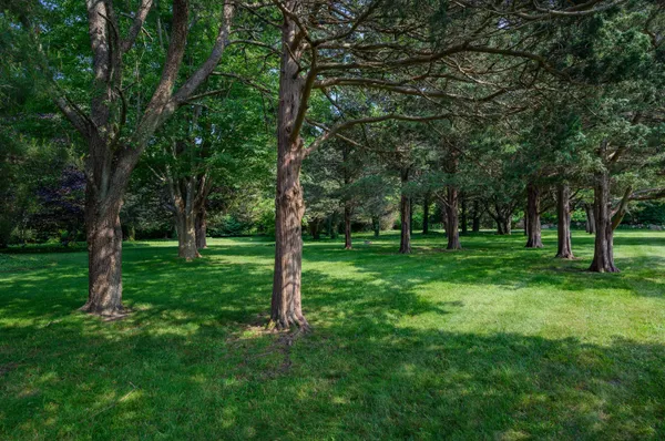 $1,195,000 | 157 Scudder's Lane, Barnstable, MA 02630