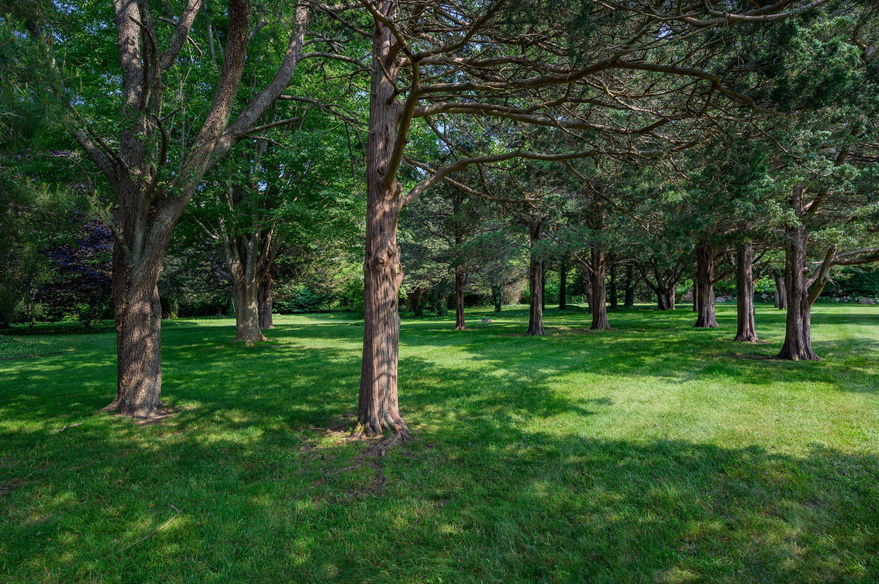 157 Scudder's Lane Barnstable, MA 02630 - Photo 7 of 10 IMG_5105