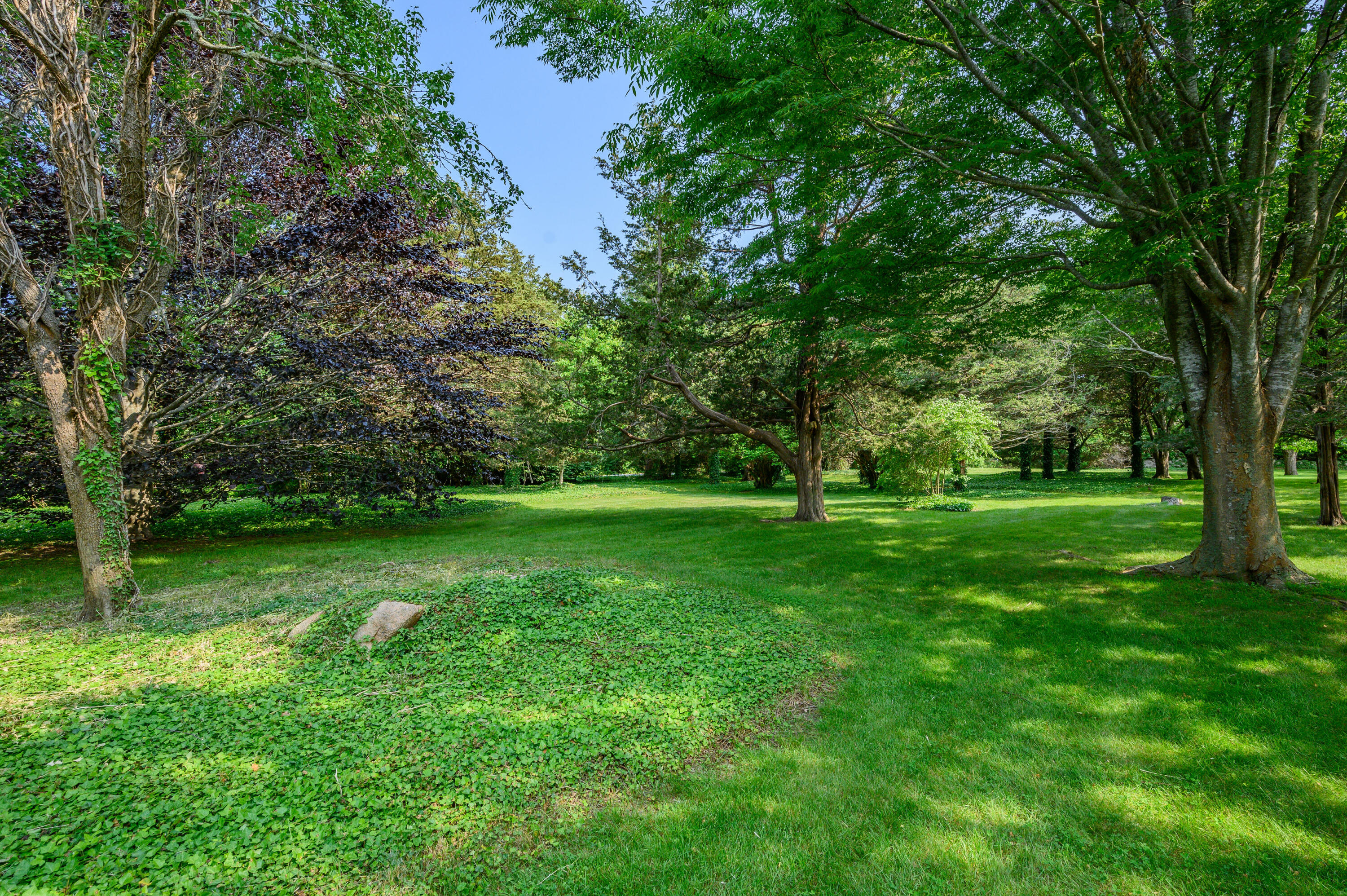 157 Scudder's Lane Barnstable, MA 02630 - Photo 8 of 10 IMG_5108