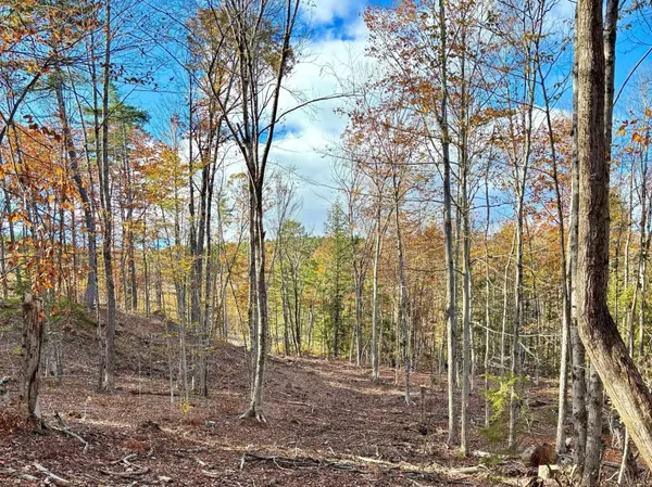 $225,000 | 0 Fisher Road, Deering, NH 03244