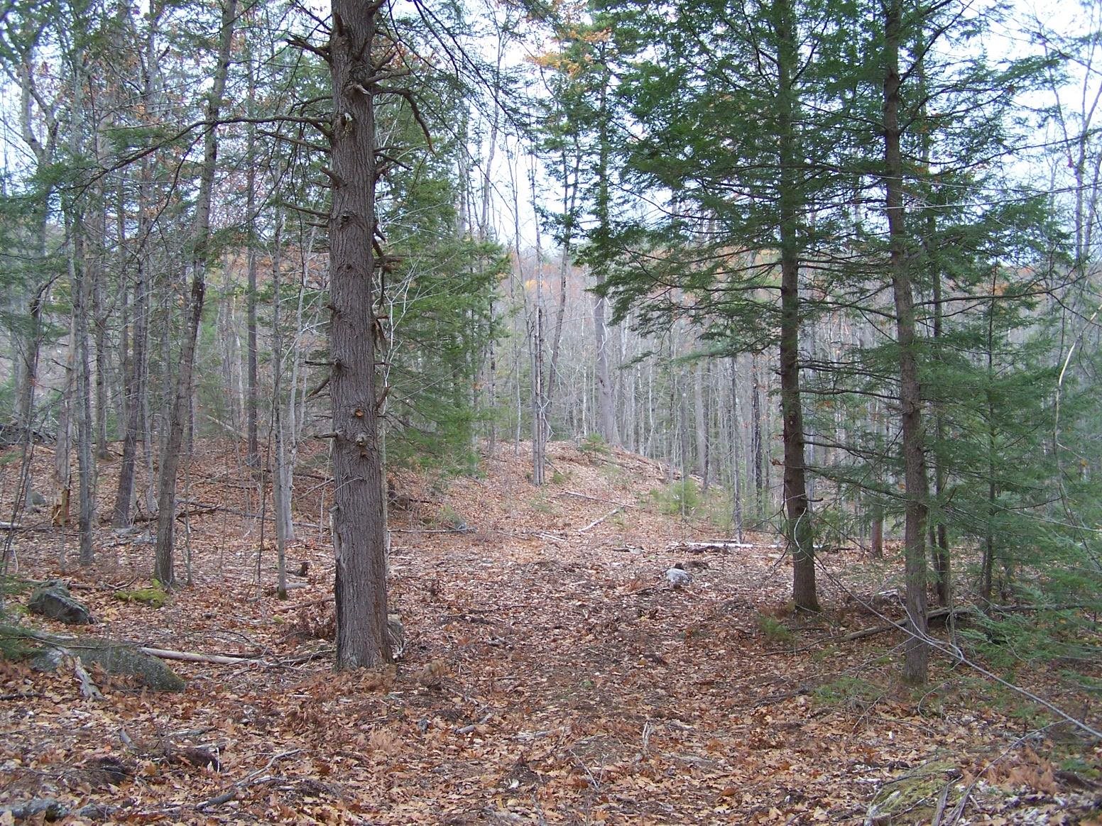 222-3 Fisher Road Deering, NH 03244 - Photo 11 of 19