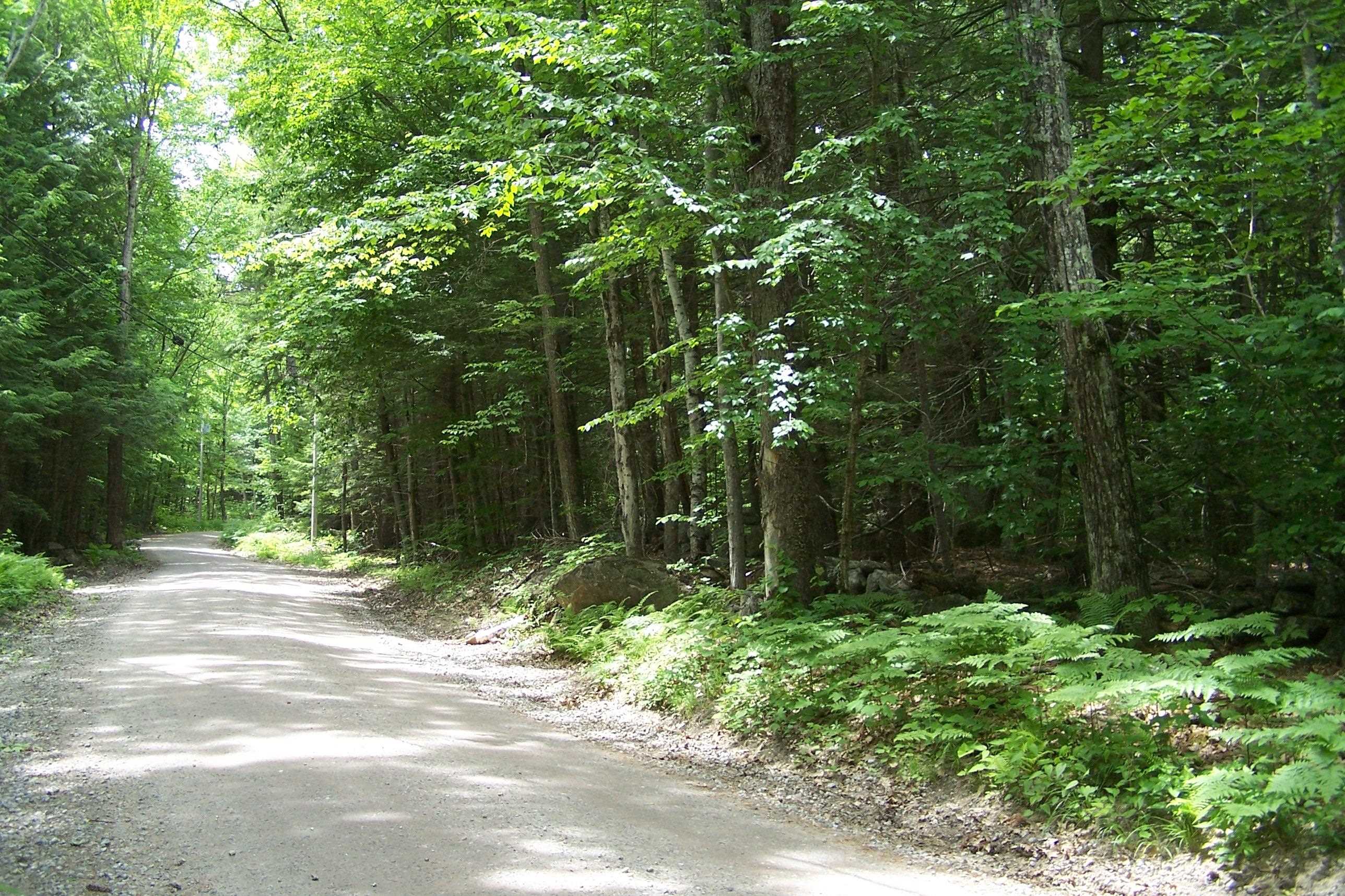 222-3 Fisher Road Deering, NH 03244 - Photo 12 of 19