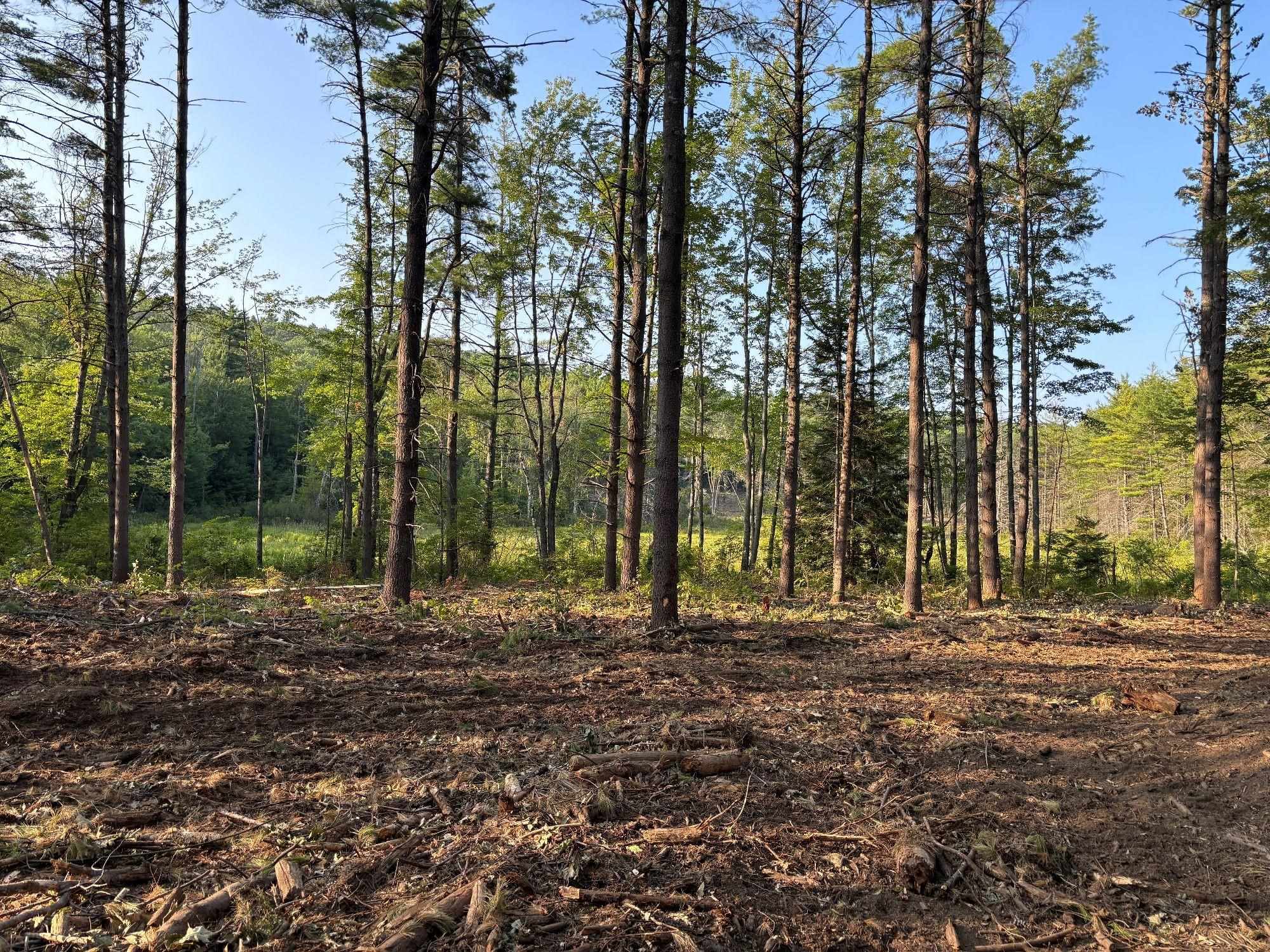 222-3 Fisher Road Deering, NH 03244 - Photo 14 of 19