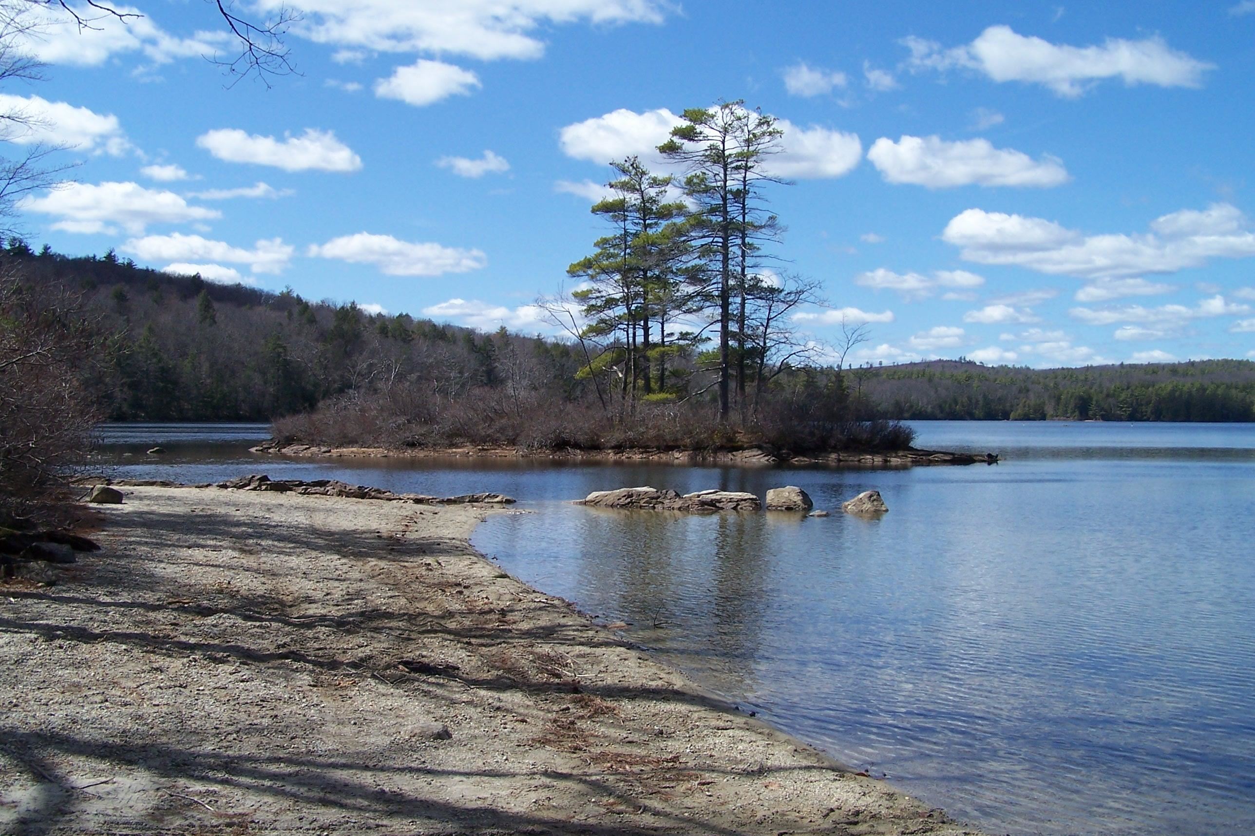 222-3 Fisher Road Deering, NH 03244 - Photo 18 of 19