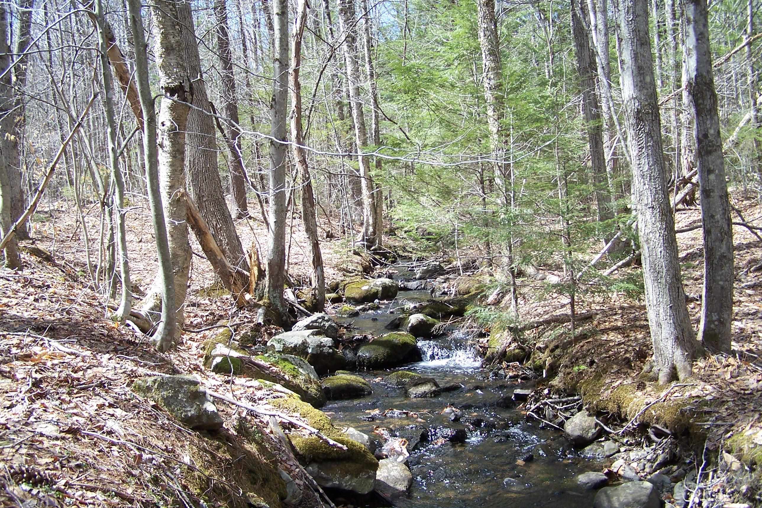 222-3 Fisher Road Deering, NH 03244 - Photo 2 of 19